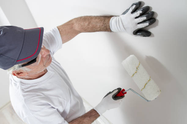 Mold Remediation for Vacation Homes in Monticello, WI