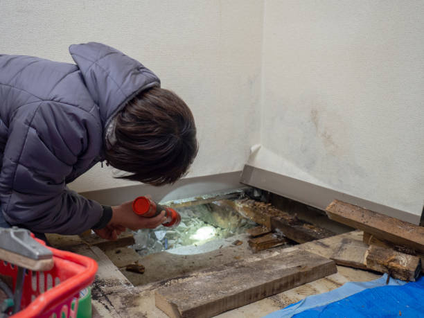 Best Post-Construction Mold Inspection  in Monticello, WI