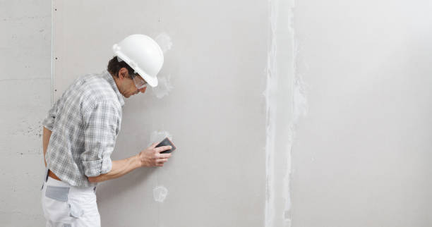 Best Air Quality Testing for Mold Spores  in Monticello, WI