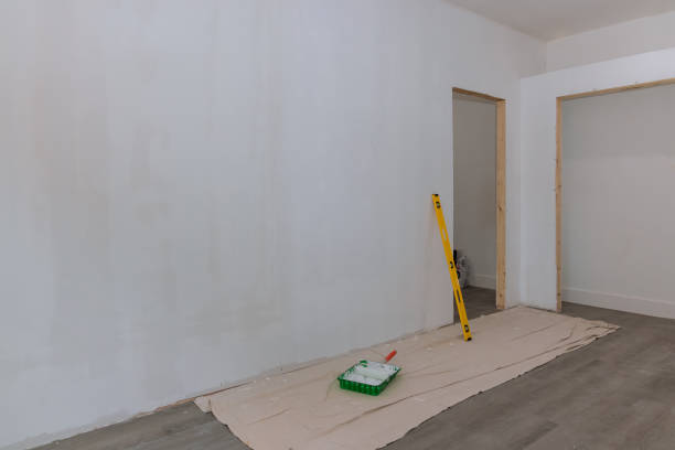 Best Basement Mold Removal  in Monticello, WI