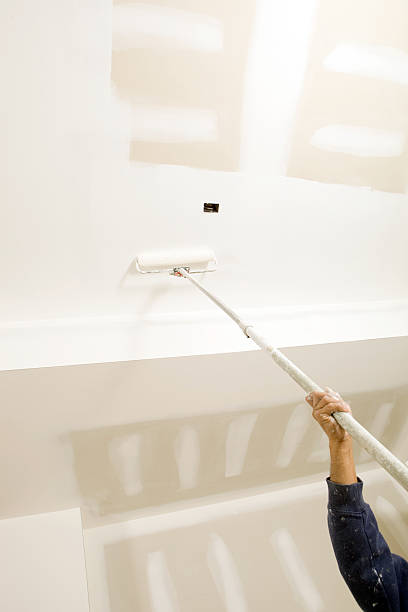 Best Water Damage & Mold Remediation  in Monticello, WI
